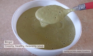 Heavenly Creamy Asparagus Soup